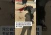 新高地TV:河北省定州市寺张蒙村恶霸书记打死两个村民