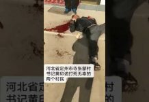 新高地TV:河北省定州市寺张蒙村恶霸书记打死两个村民