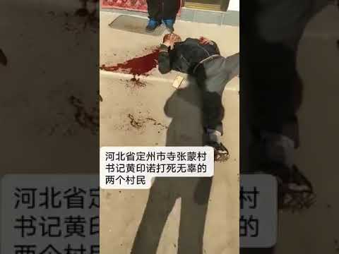 新高地TV:河北省定州市寺张蒙村恶霸书记打死两个村民