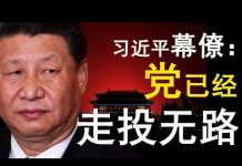 老北京茶馆:广东茂名“时代革命”吓坏党!香港38万人再游行!习近平幕僚:“我们已走投无路!”
