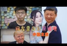 林林七:网友投票神秘人物居然战胜习近平加范冰冰