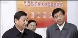 海风:薄熙来死了习就能坐稳吗?