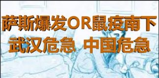 财经冷眼:萨斯爆发OR鼠疫南下,武汉危急,中国危急!