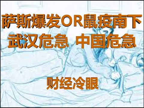 财经冷眼:萨斯爆发OR鼠疫南下,武汉危急,中国危急!