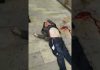 新高地TV:四川井研县人民银行行长跳楼身亡!