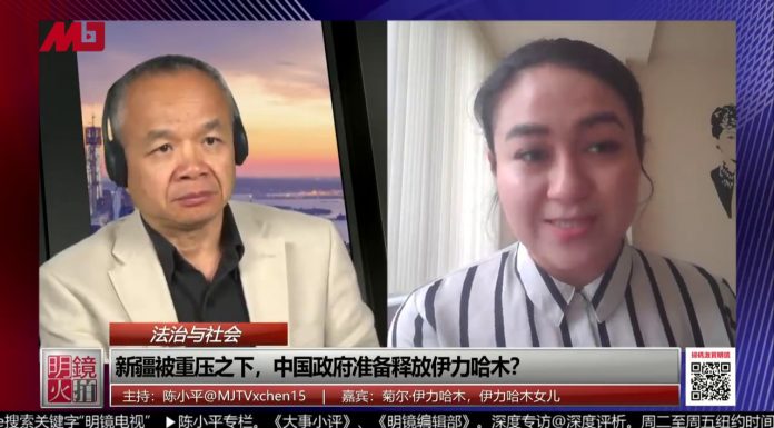 伊力哈木 陈小平:新疆人都挺北京?陈全国换伊力哈木是否可行?