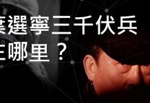 李一平:向心真名應是葉向心!葉選寧三千伏兵伏在哪里?紅三代極少從政,有何玄機?葉家率先棄船