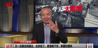 陈小平:汪洋谏言习近平服软,从民族英雄到过街老鼠只是一夕之间