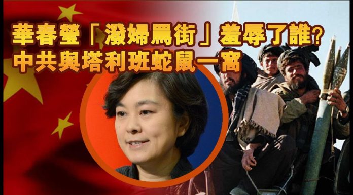 张杰:华春莹“泼妇骂街”羞辱了谁?中共与塔利班蛇鼠一窝
