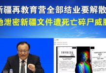 郭宝胜:新疆再教育营全部结业要解散?她泄密新疆文件遭死亡碎尸威胁