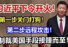 洞察天下:习近平下令“开火”!第一步关门打狗!第二步远程攻击!制裁美国手段接踵而至?真牛?