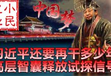小民之心:习近平还要再干多少年 高层智囊释放试探信号