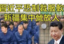 江峰:《維吾爾人權法》開始發威,新疆集中營人“全結業”。習近平上制裁名單會掀起怎樣的風暴