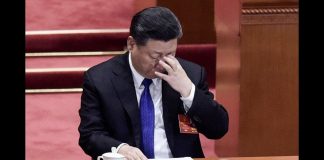 何频 陈小平:习近平发誓也不管用,民企人财两空关头,又喊要支持