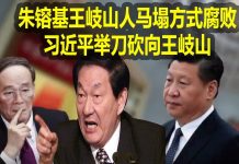 na1s0r:北京昨晚出了大事! 朱镕基王岐山人马塌方式腐败,习近平举刀砍向王岐山
