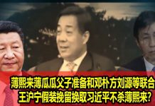 na1s0r:中南海气氛诡异!薄瓜瓜和邓朴方刘源等红二代联手倒习