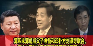 na1s0r:中南海气氛诡异!薄瓜瓜和邓朴方刘源等红二代联手倒习