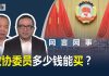何频 陈小平:政协委员多少钱能买?
