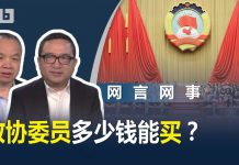 何频 陈小平:政协委员多少钱能买?