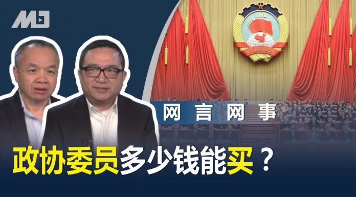 何频 陈小平:政协委员多少钱能买?