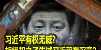 na1s0r:中共内斗!习近平有权无威忙造神,胡耀邦之子告诫习近平有深意