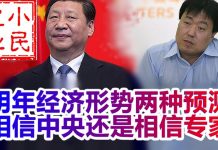 小民之心:高善文分析:明年经济形势两种预测,相信中央?还是相信专家?