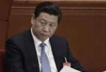 民调显示:北京传薄熙来死了,74%的网友认为他是被习近平害死的