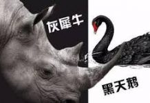 夏业良:中国到底有多少“黑天鹅”与“灰犀牛”?