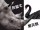 夏业良:中国到底有多少“黑天鹅”与“灰犀牛”?