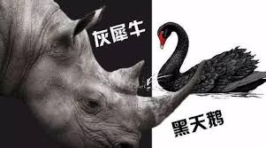 夏业良:中国到底有多少“黑天鹅”与“灰犀牛”?