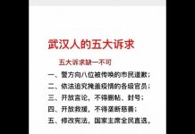 邱家军:武漢人的五大訴求