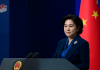 民调:中国政府决定派机把海外的武汉人接回武汉,近84%的网友不赞成