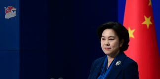 民调:中国政府决定派机把海外的武汉人接回武汉,近84%的网友不赞成