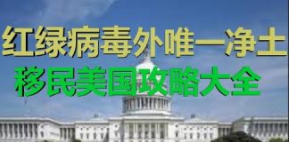 财经冷眼:红绿病毒肆虐外的唯一净土, 只要你想来美国,就一定能来!