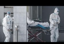华尔街网报:不妙!武汉肺炎两天激增136例,北京出现疫情;中纪委发布反腐报告:去年查了19万人