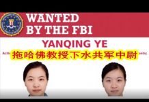 吴建民:美全球通缉总参女军官;中国包机接海外湖北人回武汉,美召回中国使领馆所有外交人员并拒绝所有中国人入境。