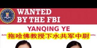 吴建民:美全球通缉总参女军官;中国包机接海外湖北人回武汉,美召回中国使领馆所有外交人员并拒绝所有中国人入境。
