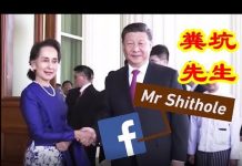 吴建民:装糊涂的川普遇上了清醒的卢比奥;孟晚舟免引渡概率是多少?习近平新年获得了洋外号