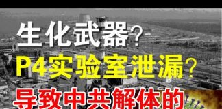 郭宝胜:武汉肺炎是中共生化武器?P4实验室有意泄漏?还是导致苏联解体的切尔诺贝利灾难翻版?