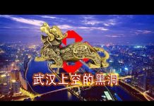 林林七:武汉上空的黑洞,貔貅只进不出。