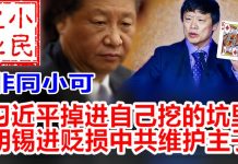 小民之心:非同小可,习近平掉进自己挖的坑里 胡锡进贬损中共维护主子
