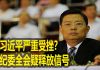 na1s0r:中共内斗激烈!习近平严重受挫?中纪委全会疑释放信号