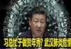 na1s0r:不顾疫情大爆发,习总忙于做贺年秀? 武汉肺炎危情 港媒猜测习近平云南春节前访贫是否拐道入湖北问苦