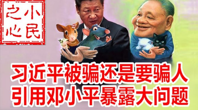 小民之心:习近平被骗还是要骗人 引用邓小平暴露大问题