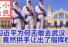 小民之心:习近平为何不敢去武汉 竟然拱手让出了指挥权