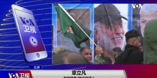 章立凡:“让领导先走”是对独裁者的一种警告