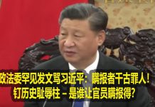 na1s0r:政法委罕见发文骂习近平:瞒报者千古罪人!钉历史耻辱柱