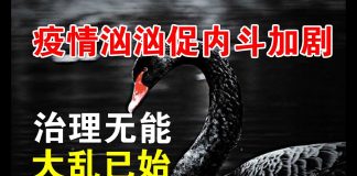 郭宝胜:世卫确认全球紧急状况;火神山工地群殴;习与李、武汉与中央内斗公开化、大乱已至!