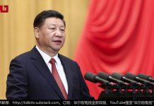 黄兆平、陈小平、纪硕鸣:抓八位医生?媒体围剿公安部!习近平从权坛摔下来了?中共会不会步苏联后尘?