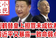小民之心:刘鹤替皇上担罪未成钦差 习近平又暴露一致命弱点